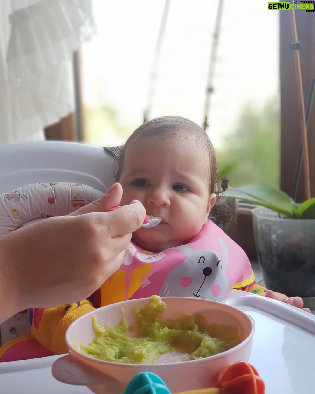 Sanem Yeles Instagram - Günlerdir heyecanla hazırlıklarında bulunduğumuz ilk ek gıda hadisesi ve hazin bir son 🥒🥒🥒#bademşekerim