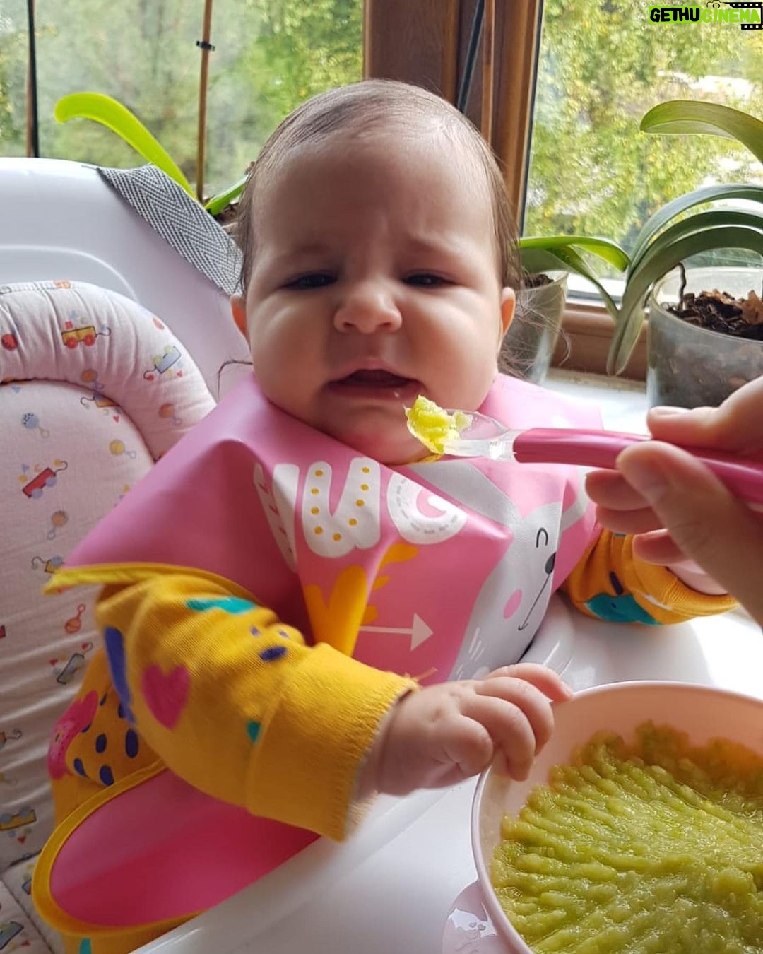 Sanem Yeles Instagram - Günlerdir heyecanla hazırlıklarında bulunduğumuz ilk ek gıda hadisesi ve hazin bir son 🥒🥒🥒#bademşekerim