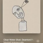 Sanford Biggers Instagram - I’m so humbled and grateful to be featured on “Clear Water” by one of my favorite artists @officialmeshell ✨ and @jeffparkersounds @deantoniparks 🙏🏿
