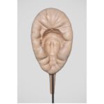 Sanford Biggers Instagram - Final days to 👁️ “Ancient Entanglements @wassermanprojects, featuring new and collaborative work by Brandon Clifford and Jo Lobdell of Matter Design, and myself. On view until December 17th 🙏🏿 Pictured: "Mask 3" by Sanford Biggers From his series of Janus Masks Carved Maple, steel rod Photo by @pdrearick Pictured: "Mask 2" by Sanford Biggers From his series of Janus Masks Carved Maple, steel rod Photo by @pdrearick   Pictured: "Mask 1" by Sanford Biggers From his series of Janus Masks Carved Maple, steel rod Photo by @pdrearick   #wassermanprojects #anciententanglements #closingsoon #studiosanfordbiggers #mitarchitecture #matterdesign #carvedwood #janus #masks Wasserman Projects