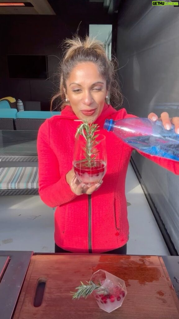 Sangita Patel Instagram - Snow Globe Cocktail 🍹 Huh, cocktail is a weird word 🤷🏽‍♀️😂 I love this trend - it’s so beautiful for gatherings during the holidays! I used a a slice of tangerine to hold up the rosemary Christmas tree Cranberries Little bit of water and freeze for about 2 hrs Add sparkling water, Prosecco, anything bubbly And voila! A snow-globe 🥰❤️ Getting all fancy 😉 #Holidays #SnowGlobeCocktail #Drinks #CookinWithSangi