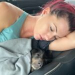 Santana Garrett Instagram - Call me: Sleeping Beauty 😂💤😴✨ CONFESSION: My husband has a ridiculous amount of photos of me & my Ween-Queen “resting our eyes” -> napping.. 😂 💤 #reel #reels #itookanap #nap #sleep #votd #dog #sleepingbeauty #wienerdog #dachshund