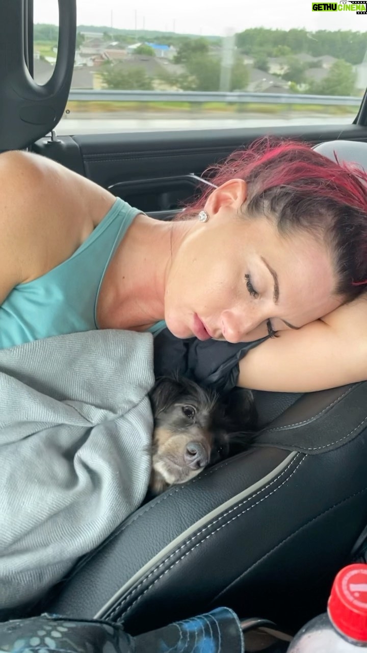 Santana Garrett Instagram - Call me: Sleeping Beauty 😂💤😴✨ CONFESSION: My husband has a ridiculous amount of photos of me & my Ween-Queen “resting our eyes” -> napping.. 😂 💤 #reel #reels #itookanap #nap #sleep #votd #dog #sleepingbeauty #wienerdog #dachshund