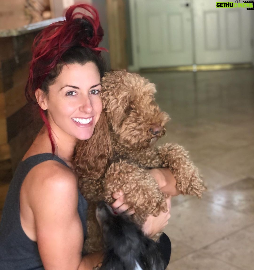Santana Garrett - 3.1K Likes - I WOOF you guys. 💙✨🐶
(Swipe to the last photo) 😂
#nationaldogday #dog #dogs #internationaldogday #daschund #goldendoodle