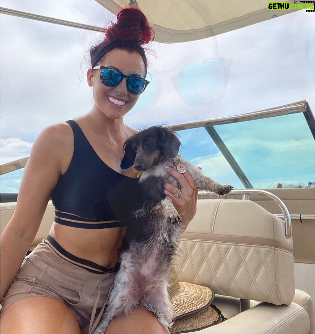 Santana Garrett - 3.1K Likes - I WOOF you guys. 💙✨🐶
(Swipe to the last photo) 😂
#nationaldogday #dog #dogs #internationaldogday #daschund #goldendoodle