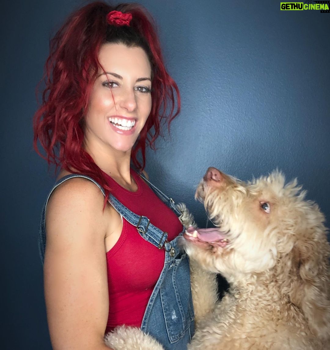 Santana Garrett - 3.1K Likes - I WOOF you guys. 💙✨🐶
(Swipe to the last photo) 😂
#nationaldogday #dog #dogs #internationaldogday #daschund #goldendoodle