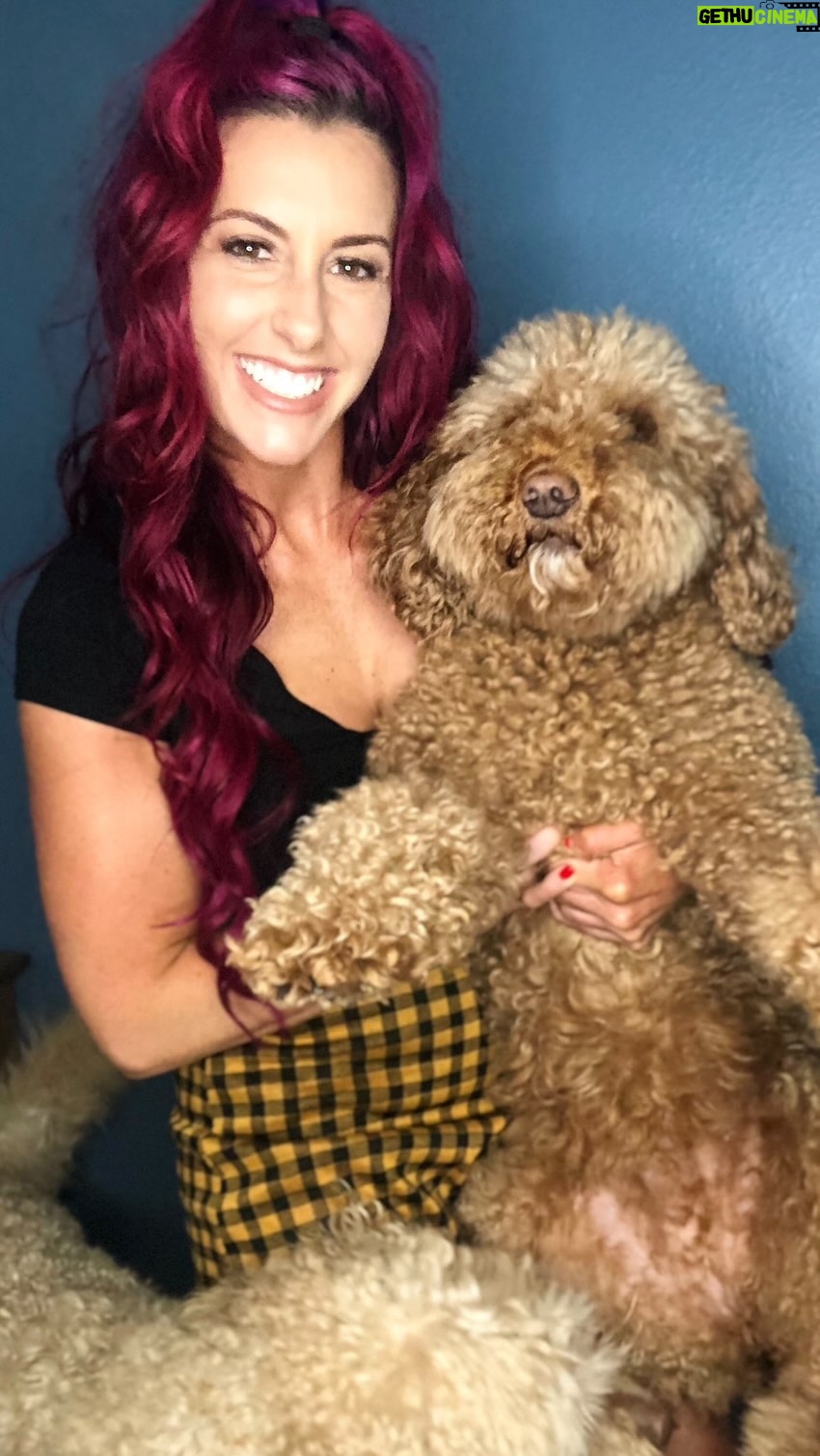 Santana Garrett Instagram - This was certainly an emotional weekend for the whole family. This past Friday we had to unexpectedly say goodbye to our sweet little girl, Baby Rhea. Loss is hard..but we try to remember & celebrate all of the good she brought to our lives. As we returned home after saying our goodbyes, our neighborhood streets were lined with cardinals..I’ve never seen anything like it. (Cardinals have also been the bird that reminds me of my dad) I’m pretty sure that was him letting us know, he has her & everything was going to be ok. 💛✨🙏 #doodle #doodlesofinstagram #dogsofinstagram