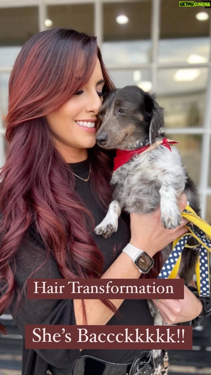 Santana Garrett Instagram - She’s BACKKKKKK!!! 💪🧨✨ Watch out world! 🌎 What do we think about the new hair color?! ⚠️P.S. Now accepting 2023 bookings!! ⚠️ Promoters DM or email me (link in bio) #reel #hair #hairtransformation #haircolor #bohymehairextensions #bohyme #ig #hairreels Orlando, Florida