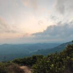 Sara Ali Instagram - Senaling. 2.6904° N, 102.2644° E 🌿 Shot on #HONORMagic5Pro #UnleashThePowerOfMagic @honormalaysia