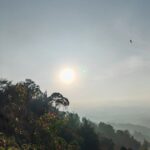 Sara Ali Instagram - Senaling. 2.6904° N, 102.2644° E 🌿 Shot on #HONORMagic5Pro #UnleashThePowerOfMagic @honormalaysia