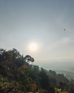 Sara Ali Instagram - Senaling. 2.6904° N, 102.2644° E 🌿

Shot on #HONORMagic5Pro #UnleashThePowerOfMagic @honormalaysia