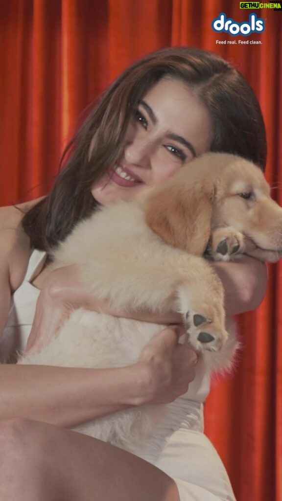 Sara Ali Khan Instagram - Beyond excited to join the @droolsindia family & share their mission of real & pure nutrition 🫶🏻 Because my paw-some furry friends deserve the absolute best ❤️🐾 Something fun and extraordinary is just around the corner, @droolsindia & I can’t wait to share it with you! #droolsindia #pets #love