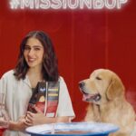Sara Ali Khan Instagram - Wholesome pet meals start with real ingredients! 💯 Watch as we combine 100% Real Chicken, Eggs, Corn, Rice & all things nutritious to create the perfect meal for your furry friend ❤️🐾 Join the #DroolsMissionBOP challenge & get a chance to WIN an International trip by following these simple steps! 1) Read the ingredients aloud in the back of any Drools pack & make a fun video 2) Post on your account, tag @droolsindia and make sure you use the hashtags #MissionBOP & #ReadtheBackofPack Challenge 📌Get Maximum Likes before the end date to stand a chance to be the winners. Contest open till March 10th, 2024. Winners will be declared by March 15th. Get started NOW! ⏳ *Conditions apply #droolsindia #missionbop #readthebackofthepack #ad