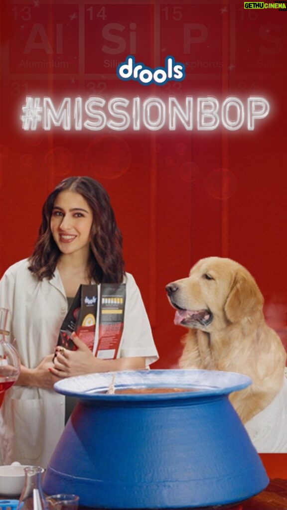 Sara Ali Khan Instagram - Wholesome pet meals start with real ingredients! 💯 Watch as we combine 100% Real Chicken, Eggs, Corn, Rice & all things nutritious to create the perfect meal for your furry friend ❤🐾 Join the #DroolsMissionBOP challenge & get a chance to WIN an International trip by following these simple steps! 1) Read the ingredients aloud in the back of any Drools pack & make a fun video 2) Post on your account, tag @droolsindia and make sure you use the hashtags #MissionBOP & #ReadtheBackofPack Challenge 📌Get Maximum Likes before the end date to stand a chance to be the winners. Contest open till March 10th, 2024. Winners will be declared by March 15th. Get started NOW! ⏳ *Conditions apply #droolsindia #missionbop #readthebackofthepack #ad