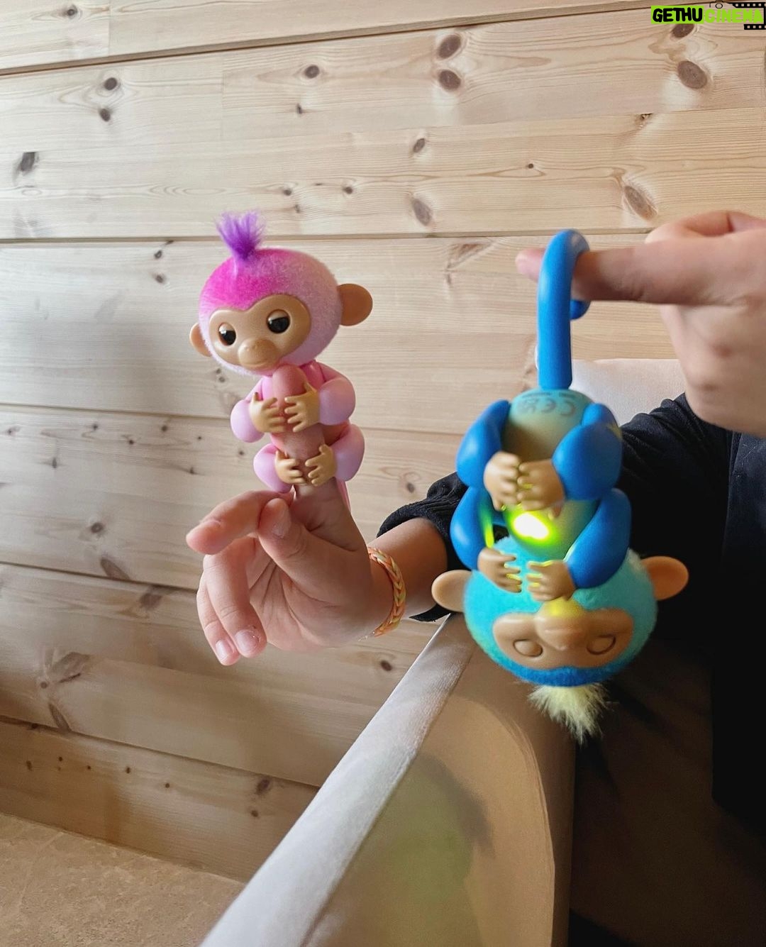 Sara Parikka Instagram - mainos @amo_toys ARVONTA! đ đ Varmasti monelle on tuttuja supersuositut Fingerlings apinat đ Fingerlings on suloinen, interaktiivinen apinaystĂ€vĂ€, joka kulkee helposti mukana đ Se reagoi ÀÀneen, liikkeisiin ja kosketukseen silmien rĂ€pyttelyllĂ€, pÀÀn kÀÀnnöksella ja apinan naurulla. Fingerlings:illĂ€ on yli 70 erilaista ÀÀntĂ€/reagointia đđŒđ ja sen pÀÀssĂ€ on pieni pehmeĂ€ turkki, jota on ihana silittÀÀ. âđŒkuvat: 1-4 đ¶ PÀÀstiin tutustumaan apinoiden lisĂ€ksi interaktiiviseen robottikoiraan. Dog-e aktivoituu silittĂ€mĂ€llĂ€ pÀÀtĂ€, koskettamalla kuonoa tai leikittĂ€mĂ€llĂ€ koiraa. Se oppii erilaisia temppuja ja kommunikoi hĂ€nnĂ€n viesteillĂ€ đ kurkkaa ylhÀÀltĂ€ videoâđŒ josta nĂ€kee ja kuulee miten tĂ€mĂ€ robottikoira sulatti samantien meidĂ€n lasten sydĂ€met! âđŒkuvat: 5-7 arvonta: Kerro olisiko interaktiivinen apinaystĂ€vĂ€ mieluinen? đ saan arpoa NELJĂ Fingerlings apinaa (kuva 4), joten neljĂ€ voittajaa luvassa. Arvon voittajan 01.11. ja ilmoitan dm viestillĂ€. Instagram ei osallistu arvontaan. Lelujen ikĂ€suositus +5
