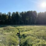Sara Parikka Instagram - 🌻🌾🍂 bongailtiin tänään lasten kanssa syksyn merkkejä 🧐