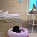 Sara Parikka Instagram - mainos @amo_toys ARVONTA! 🧡💕 Ihanat Squishmallows pehmot ovat varmasti teille tuttuja, mutta nyt tullut aivan ihana pörröinen uutuus Fuzz-A-Mallows joita löytyy koossa: 30, 40 ja 50cm 🥰 (kuvat: 1-2) Tässä on kyllä joulun pehmoisin lahja❣️ Squishmallows pehmoja on paaaaljon erilaisia (kurkkaa kuva 3) ja parasta niissä on se, että niistä innostuu kaikki vauvoista aikuisiin 😍 kukapa ei haluaisi söpöä ja pehmeää halittavaa 💕 Lasten pehmojen lisäksi on myös saatavilla Squishmallows koiranlelut ja koiranpedit 😍 (kuvat: 4-7) Pehmeät koirapedit sopii mainiosti meidän koululaisten huoneisiin.. Nyt Lakulle löytyy lepopaikka joka huoneessa 💘 Koirien lelujen (löytyy koossa 9cm ja 18cm) materiaali on erilainen ja kestävämpi samettimateriaali 👌🏼 ARVONTA! Sänkyjä on kahta erilaista mallia, kurkkaa kuva 7☝🏼🐶 Arvonnassa: 1 KPL VAPAAVALINTAINEN SÄNKY ✨ Kommentoi alle jos haluat olla mukana arvonnassa ❤️ instagram ei ole mukana arvonnassa. Arvon voittajan 29.11 ja ilmoitan dm viestillä 🥰