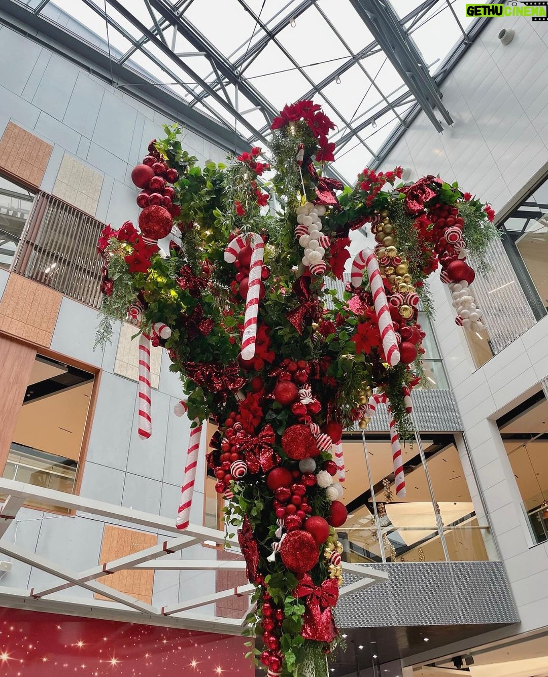 Sara Parikka Instagram - mainos @isoomena đ⤠VINKKI! Katsokaa mikä ihana jouluinen tunnelma â¨âđź â¤ď¸Meidän perheen lemppari kauppakeskuksessa Isossa Omenassa järjestetään koko perheen joulunavaustapahtuma nyt tulevana lauantaina 18.11. klo 11-18 âŁď¸+ Ompussa juhlitaan joulua jokaisena joulukuun lauantaina 16.12. asti! â¤ď¸Tulevana lauantaina on luvassa esim: Muumien talvishow, Marttojen perinteinen joulupuuro, Juvenalian lapsikuorojen sing-a-long konsertti sekä viime vuodesta tuttu tonttukoulu. Klo 12 Ompun M.E.E.T-aukiolla sytytetään jättijoulukuuseen valot muumien kanssa. ⨠â¤ď¸Joulunavauksessa pääsee myĂśs tietenkin tapaamaan joulupukin ja muorin, joiden kanssa pääsee ottamaan yhteiskuvia. Tätä meidän kuopus odottaa!! â¤ď¸Lisää joulufiilistelyä ja vinkkejä stooreissa đđźđĽ° #joulunavaus #isoomena #meidänomppu