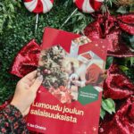 Sara Parikka Instagram - mainos @isoomena 🎄❤ VINKKI! Katsokaa mikä ihana jouluinen tunnelma ✨☝🏼 ❤️Meidän perheen lemppari kauppakeskuksessa Isossa Omenassa järjestetään koko perheen joulunavaustapahtuma nyt tulevana lauantaina 18.11. klo 11-18 ❣️+ Ompussa juhlitaan joulua jokaisena joulukuun lauantaina 16.12. asti! ❤️Tulevana lauantaina on luvassa esim: Muumien talvishow, Marttojen perinteinen joulupuuro, Juvenalian lapsikuorojen sing-a-long konsertti sekä viime vuodesta tuttu tonttukoulu. Klo 12 Ompun M.E.E.T-aukiolla sytytetään jättijoulukuuseen valot muumien kanssa. ✨ ❤️Joulunavauksessa pääsee myös tietenkin tapaamaan joulupukin ja muorin, joiden kanssa pääsee ottamaan yhteiskuvia. Tätä meidän kuopus odottaa!! ❤️Lisää joulufiilistelyä ja vinkkejä stooreissa 👋🏼🥰 #joulunavaus #isoomena #meidänomppu