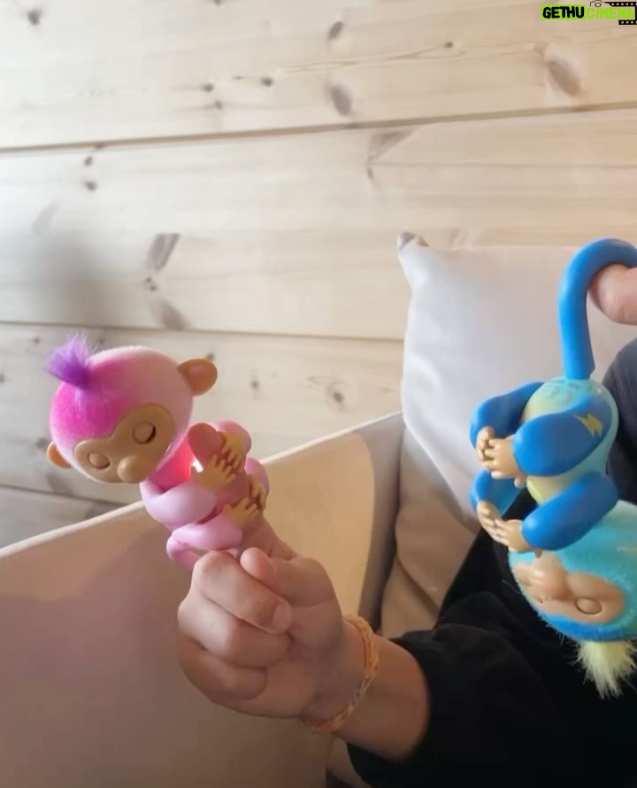 Sara Parikka Instagram - mainos @amo_toys ARVONTA! đ đ Varmasti monelle on tuttuja supersuositut Fingerlings apinat đ Fingerlings on suloinen, interaktiivinen apinaystĂ€vĂ€, joka kulkee helposti mukana đ Se reagoi ÀÀneen, liikkeisiin ja kosketukseen silmien rĂ€pyttelyllĂ€, pÀÀn kÀÀnnöksella ja apinan naurulla. Fingerlings:illĂ€ on yli 70 erilaista ÀÀntĂ€/reagointia đđŒđ ja sen pÀÀssĂ€ on pieni pehmeĂ€ turkki, jota on ihana silittÀÀ. âđŒkuvat: 1-4 đ¶ PÀÀstiin tutustumaan apinoiden lisĂ€ksi interaktiiviseen robottikoiraan. Dog-e aktivoituu silittĂ€mĂ€llĂ€ pÀÀtĂ€, koskettamalla kuonoa tai leikittĂ€mĂ€llĂ€ koiraa. Se oppii erilaisia temppuja ja kommunikoi hĂ€nnĂ€n viesteillĂ€ đ kurkkaa ylhÀÀltĂ€ videoâđŒ josta nĂ€kee ja kuulee miten tĂ€mĂ€ robottikoira sulatti samantien meidĂ€n lasten sydĂ€met! âđŒkuvat: 5-7 arvonta: Kerro olisiko interaktiivinen apinaystĂ€vĂ€ mieluinen? đ saan arpoa NELJĂ Fingerlings apinaa (kuva 4), joten neljĂ€ voittajaa luvassa. Arvon voittajan 01.11. ja ilmoitan dm viestillĂ€. Instagram ei osallistu arvontaan. Lelujen ikĂ€suositus +5