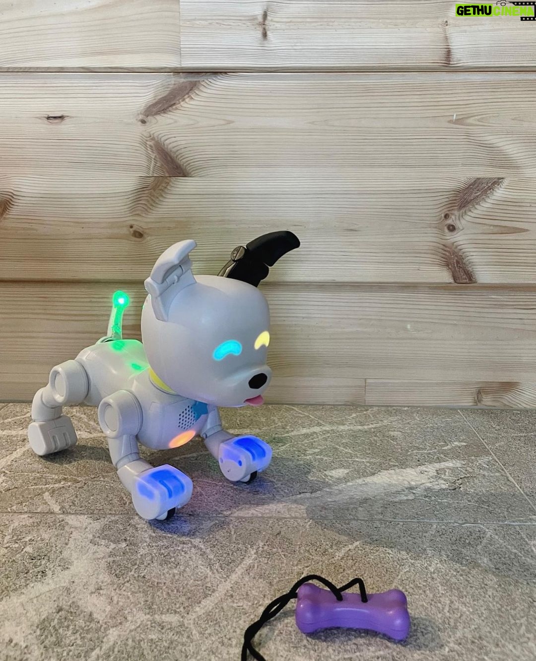 Sara Parikka Instagram - mainos @amo_toys ARVONTA! đ đ Varmasti monelle on tuttuja supersuositut Fingerlings apinat đ Fingerlings on suloinen, interaktiivinen apinaystĂ€vĂ€, joka kulkee helposti mukana đ Se reagoi ÀÀneen, liikkeisiin ja kosketukseen silmien rĂ€pyttelyllĂ€, pÀÀn kÀÀnnöksella ja apinan naurulla. Fingerlings:illĂ€ on yli 70 erilaista ÀÀntĂ€/reagointia đđŒđ ja sen pÀÀssĂ€ on pieni pehmeĂ€ turkki, jota on ihana silittÀÀ. âđŒkuvat: 1-4 đ¶ PÀÀstiin tutustumaan apinoiden lisĂ€ksi interaktiiviseen robottikoiraan. Dog-e aktivoituu silittĂ€mĂ€llĂ€ pÀÀtĂ€, koskettamalla kuonoa tai leikittĂ€mĂ€llĂ€ koiraa. Se oppii erilaisia temppuja ja kommunikoi hĂ€nnĂ€n viesteillĂ€ đ kurkkaa ylhÀÀltĂ€ videoâđŒ josta nĂ€kee ja kuulee miten tĂ€mĂ€ robottikoira sulatti samantien meidĂ€n lasten sydĂ€met! âđŒkuvat: 5-7 arvonta: Kerro olisiko interaktiivinen apinaystĂ€vĂ€ mieluinen? đ saan arpoa NELJĂ Fingerlings apinaa (kuva 4), joten neljĂ€ voittajaa luvassa. Arvon voittajan 01.11. ja ilmoitan dm viestillĂ€. Instagram ei osallistu arvontaan. Lelujen ikĂ€suositus +5