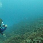 Sara Sampaio Instagram – The manta rays were dancing for us 🥹 The St. Regis Bora Bora Resort