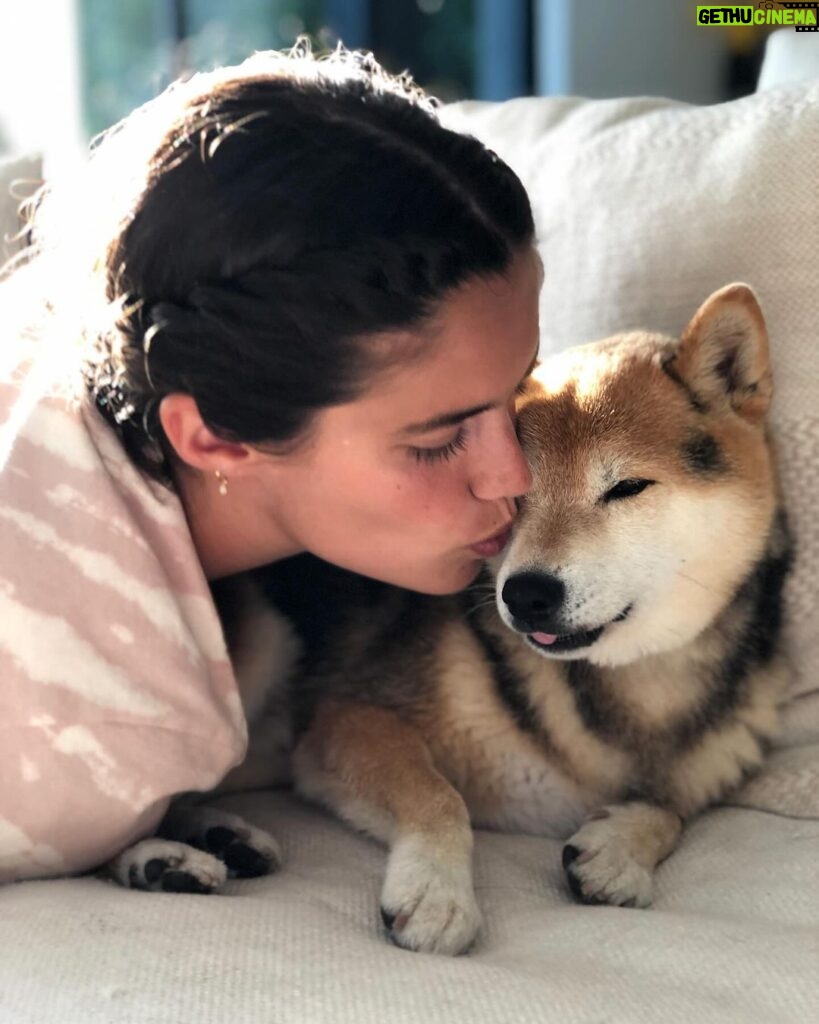 Sara Sampaio Instagram - Oh south. 💔🕊️ my heart is broken and you just took a big piece of it with you. These last 35h have been the most awful 35 hours of my life. I have no words for the pain I feel from losing you. You were the “goodest” of boys, my sweet sweet boy, the funniest doggy I’ve ever met with your snuggle tooth and your crazy love for food. You saved me in so many ways and for that I’m eternally grateful to have been your mummy. I know you are now in peace but god I already miss you so so so much. I’m terrified of going back home because who’s gonna bring me a toy or a slipper every time I get home? Or who’s gonna wake me up at 7am everyday to demand to be fed? I’m even going to miss you peeing all over my rugs. You were my sunshine, my shadow, my best friend, my savior and the best thing in my life alongside Kyta and Luigi. I know Kyta liked to pretend she was always so annoyed at you, but I know she loved you so much and she’s going to miss you dearly, we both will. Wherever you are I hope you have unlimited food and carpets to pee on, and please look after Kyta, auntie Emma, lee and I. I’m blessed I got to spend this last week cuddling you endlessly and even though the pain is unimaginable I understand you had to go. You are my little angel now and It was the honor of my life to have been your mummy. I love you so so so so much my sweet sweet boy. 🤍
