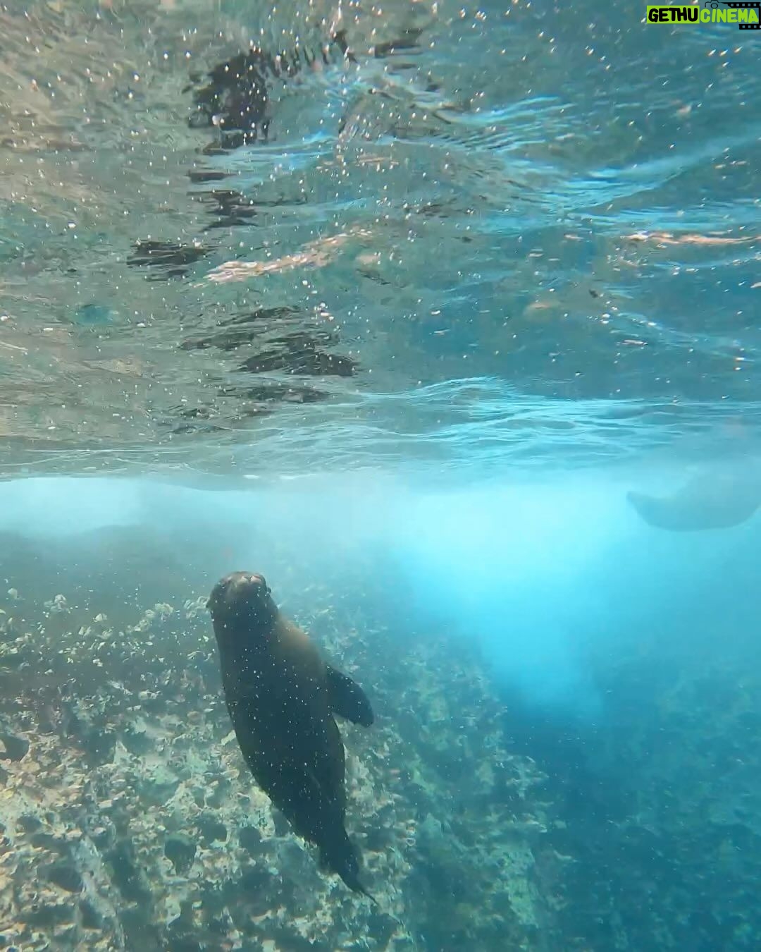 Sara Sampaio Instagram - Magical 馃ス San Crist贸bal, Galapagos, Ecuador