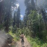 Sara Sampaio Instagram - Magic aspen 🌳🌲 @alo #alopartner Aspen, Colorado