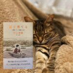 Sara Takatsuki Instagram - 7days BookCoverChallenge ！📘 6日目の本はタイムリーに読み終わった「#猫を棄てる」この本を手に取った理由は、他でもなく題名。衝撃的な題名と、優しさに溢れる絵のタッチ。読まざるを得なかった。でも本を開けば、村上春樹さんのお父様について語られた内容だった。家族、戦争、日々の出来事について村上春樹さんが体験してきたものが丁寧に記されていました。私にとっての父親は一番近い存在ではあるけれど、どこか遠いような。知り尽くしているつもりだけど、知らない事の方が多いような気もする。これを機会に父親が体験してきた歴史を聞くのも面白そう。 #bookcoverchallenge #村上春樹　さん #猫#みーちゃん