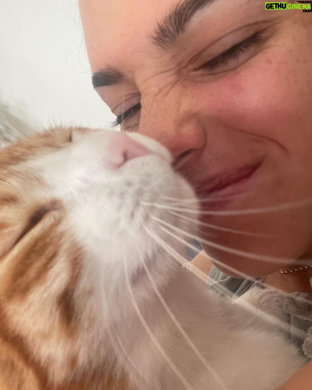 Sara Vidorreta Instagram - Resumen de mi semana: 1. Selfie con mis primeras pecas veraniegas ☺️ 3. Momento fav de desconexión 4. Mi desayuno recurrente 😋 5. 24/7 🙇🏽♀️ 6. Outfit check 7. Pizzas saludables en mi vida para siempre please 8. Mi cara de las 7am 🙄 9. Las fotos que me hace Nat al dormirme jiji • • • #tumbrgirl #aesthetic #tumblraesthetic #reallife #naturalbeauty #recap #home #lareinadelsur #lrds #lrds3 #lrds2 #vampire #lavampi #vampi #rocioaljarafe #saravidorreta #faustinosanchezgodoy #lincolnpalomeque #telemundo #netflix #netflixseries #serie #colombia #españa #peru #bolivia #mexico #rodaje #detrasdecamaras Madrid, Spain