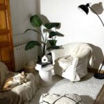 Sara Vidorreta Instagram – La primera burger en nuestro nuevo salón + mis dos pequeños dando amor 🫠🫠🫠 
¿Os gusta cómo han quedado los muebles de @beliani.espana :):)?

#beliani #homedecor #aesthetics #tumblrgirl #burgerporn #catsofinstagram #lareinadelsur #lrds Madrid, Spain