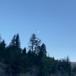 Sarah Catherine Hook Instagram - zoom in, queens 🌙