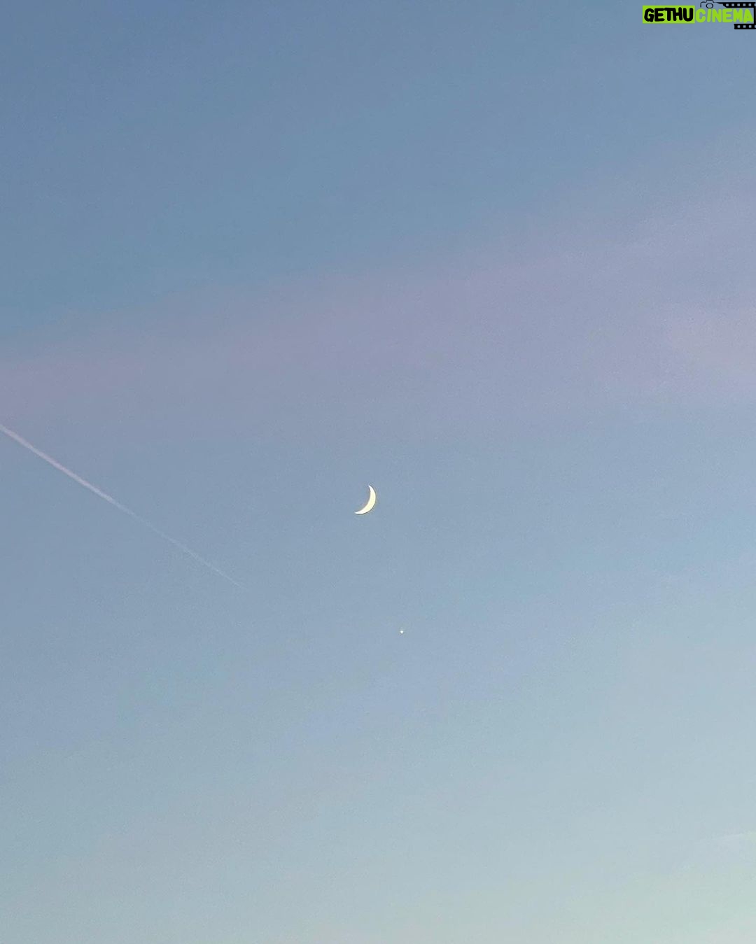 Sarah Catherine Hook Instagram - zoom in, queens 🌙
