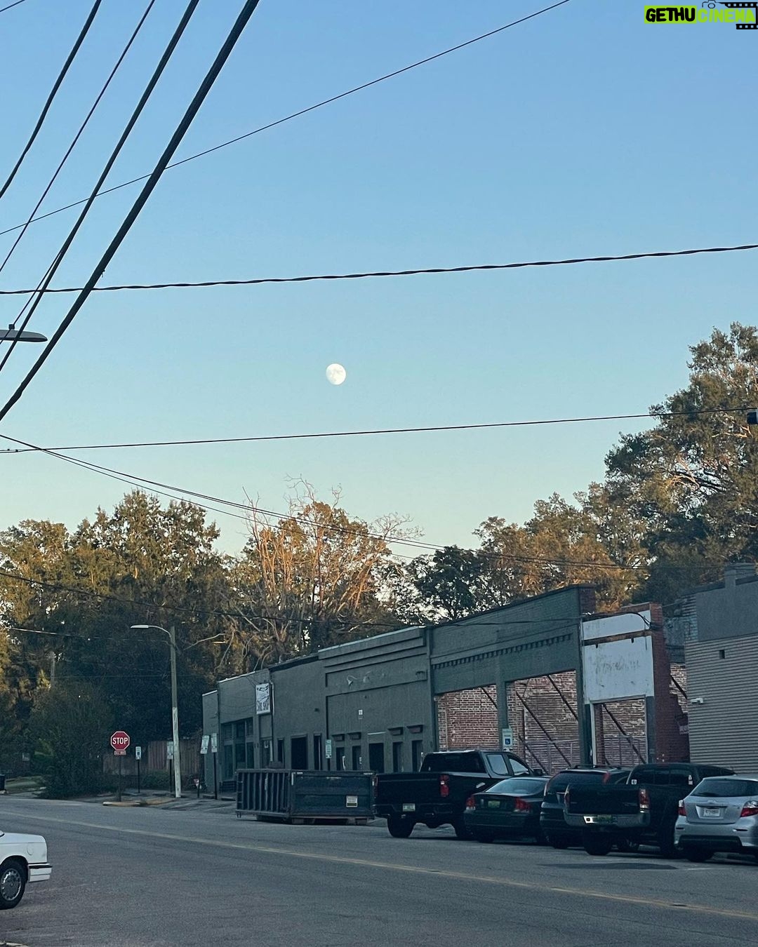 Sarah Catherine Hook Instagram - zoom in, queens 🌙