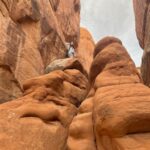 Sarah Catherine Hook Instagram - mars is actually just moab 🤷🏻‍♀️ Arches National Park