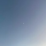 Sarah Catherine Hook Instagram - some more moons for u (but mostly for me)
