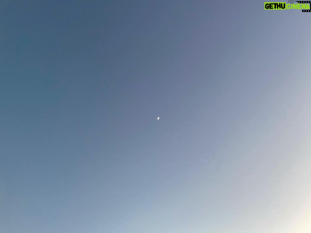 Sarah Catherine Hook Instagram - some more moons for u (but mostly for me)