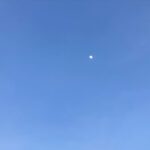 Sarah Catherine Hook Instagram - some more moons for u (but mostly for me)