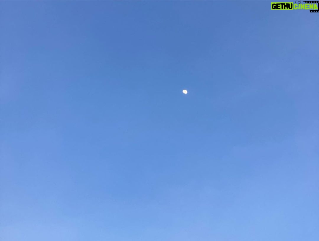 Sarah Catherine Hook Instagram - some more moons for u (but mostly for me)