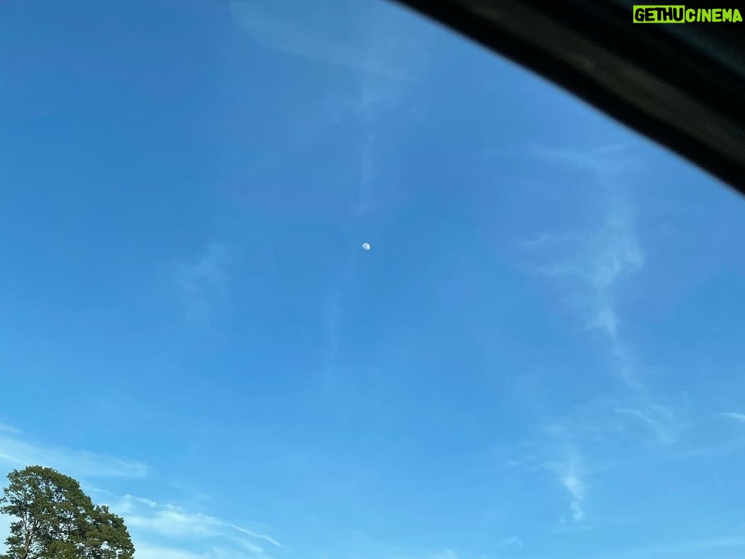 Sarah Catherine Hook Instagram - some more moons for u (but mostly for me)