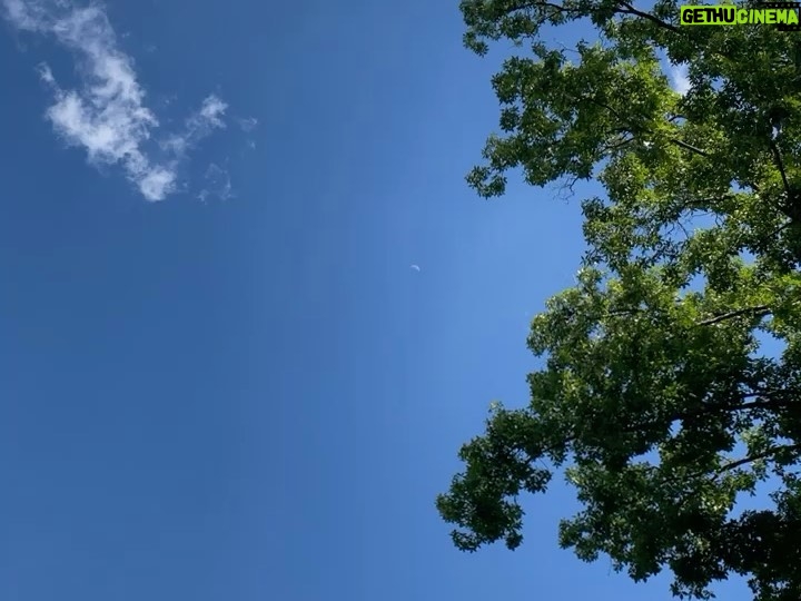 Sarah Catherine Hook Instagram - some more moons for u (but mostly for me)
