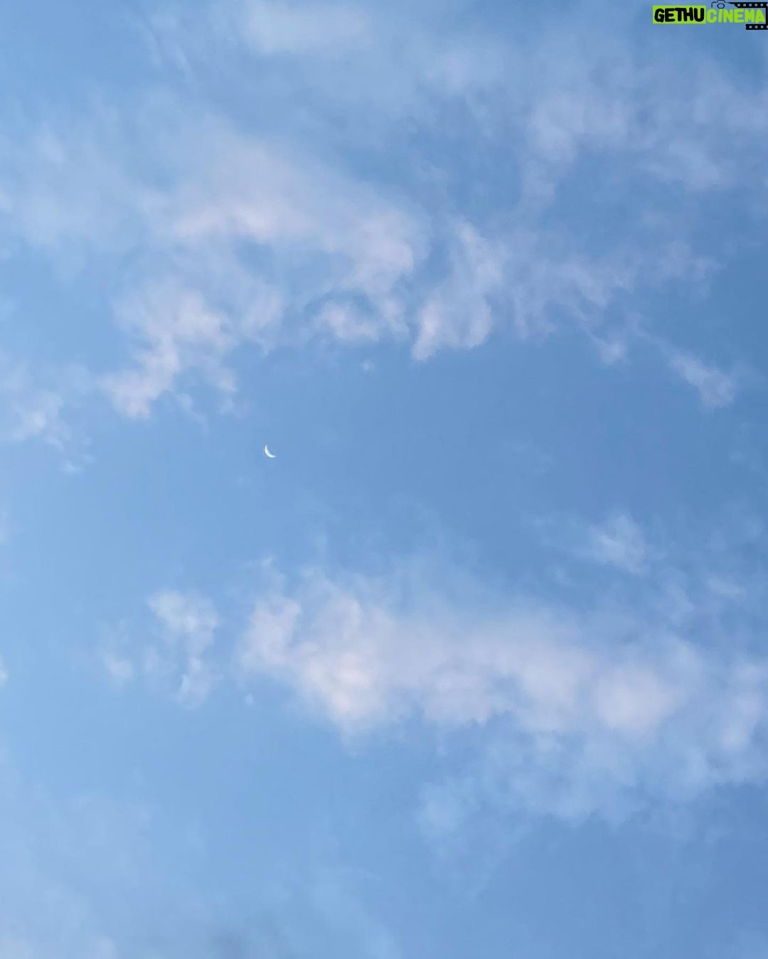 Sarah Catherine Hook Instagram - going through a moon phase 🙃 The Moon