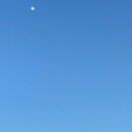 Sarah Catherine Hook Instagram - going through a moon phase 🙃 The Moon