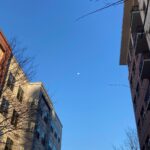 Sarah Catherine Hook Instagram - going through a moon phase 🙃 The Moon