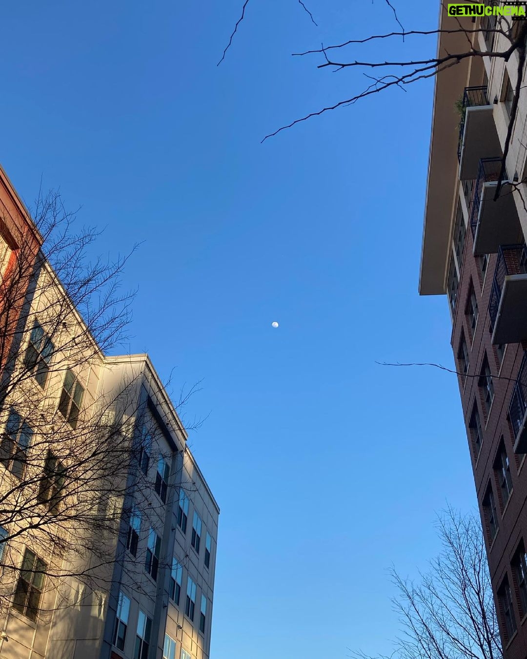 Sarah Catherine Hook Instagram - going through a moon phase 🙃 The Moon