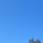 Sarah Catherine Hook Instagram - going through a moon phase 🙃 The Moon