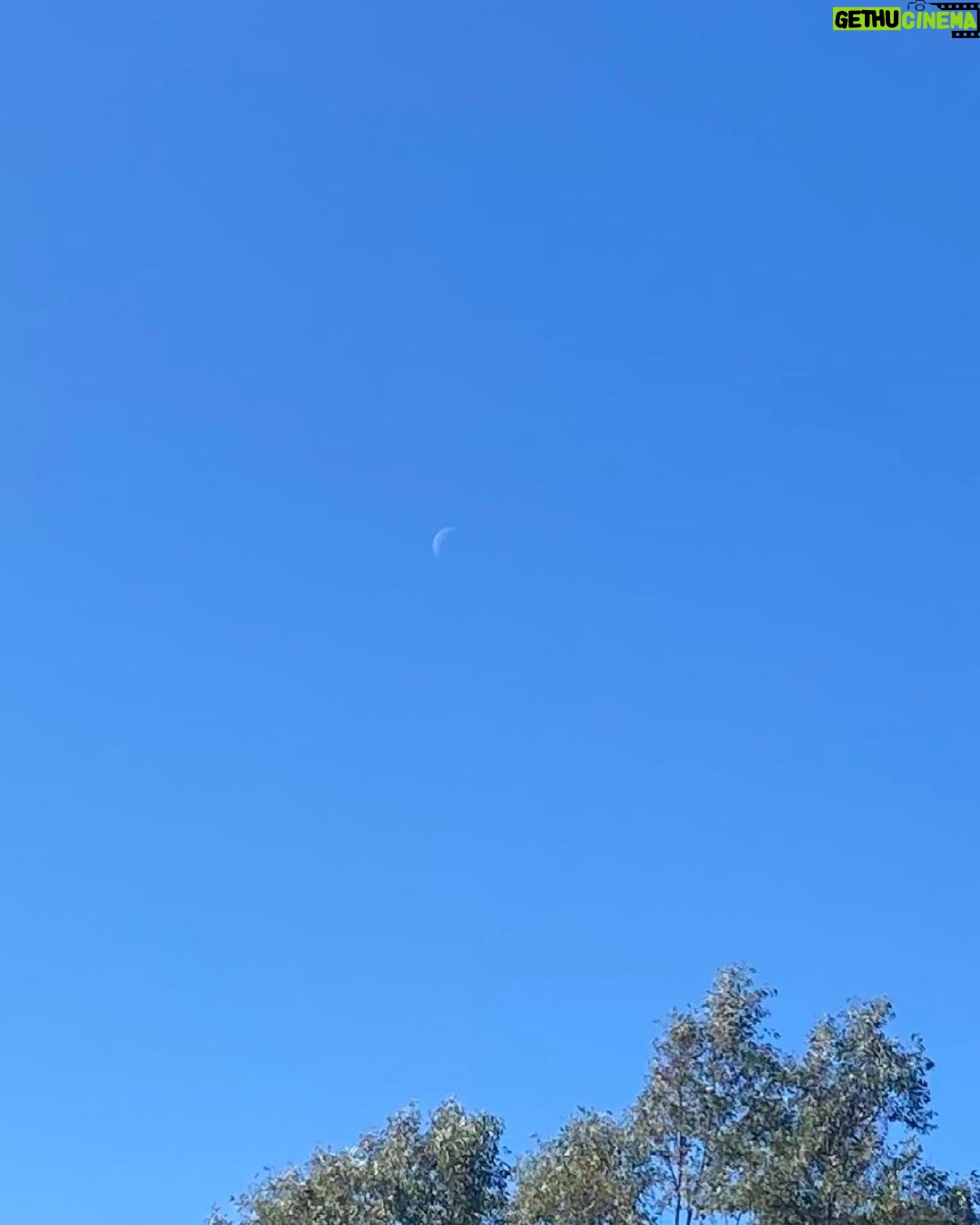 Sarah Catherine Hook Instagram - going through a moon phase 🙃 The Moon