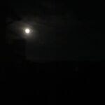 Sarah Catherine Hook Instagram - going through a moon phase 🙃 The Moon