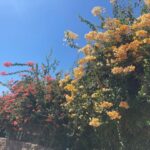 Sarah Catherine Hook Instagram - Sea of Galilee